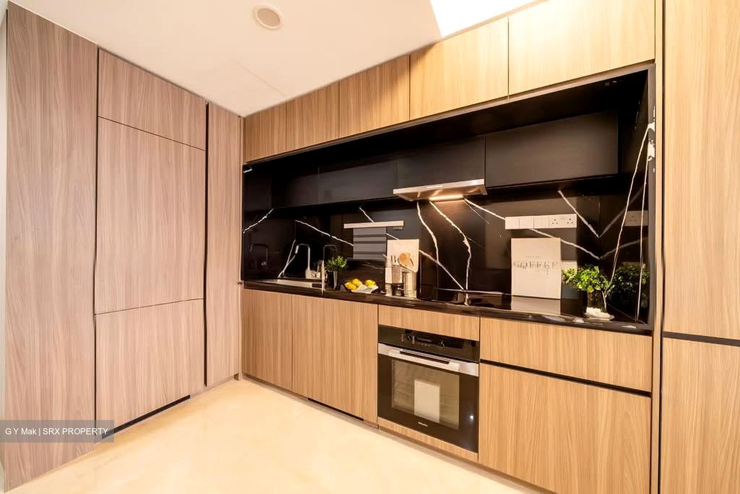Irwell Hill Residences (D9), Apartment #529599641